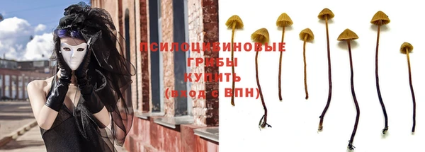 прущая мука Заволжье