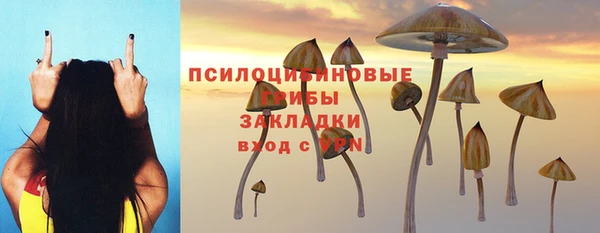 ECSTASY Зеленодольск