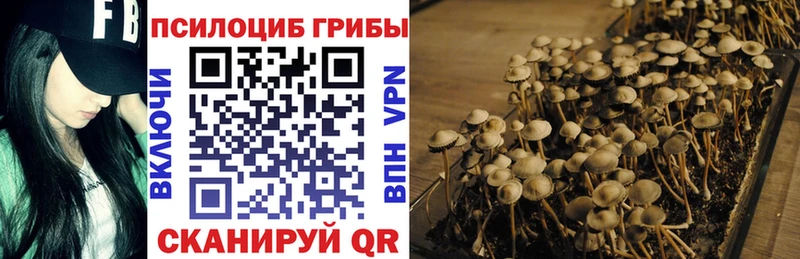 Галлюциногенные грибы Psilocybine cubensis  Купить  Джанкой 